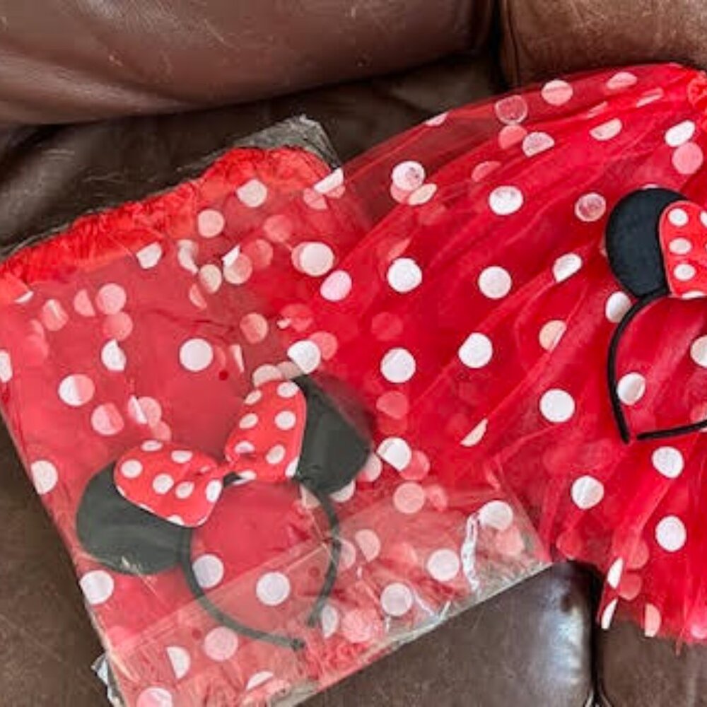 Minnie Mouse skirt and ears